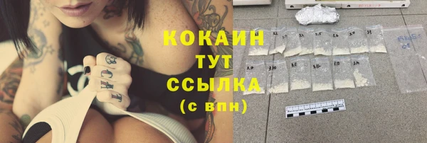 трава Няндома