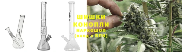 дурь Осташков