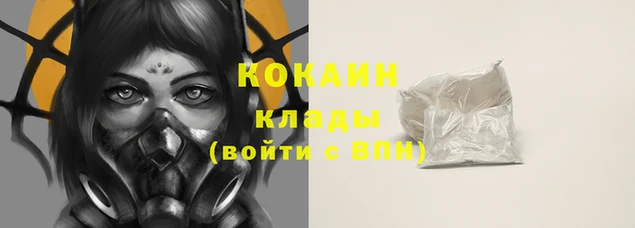 трава Няндома