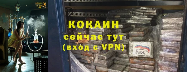 дурь Осташков