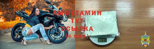 дурь Осташков