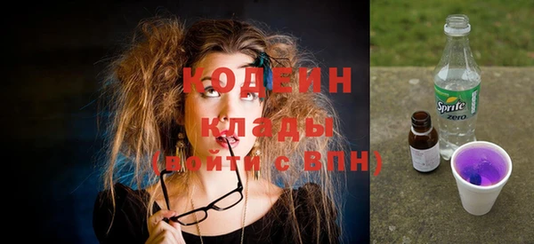 трава Няндома
